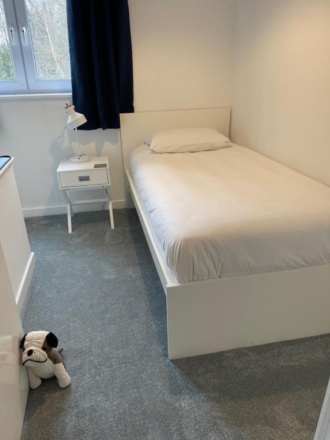 The Beeches - Serviced Duplex Apartment Sheffield Exteriér fotografie